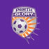 View Perth Glory Football Club