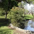 View Stirk Park - Kalamunda